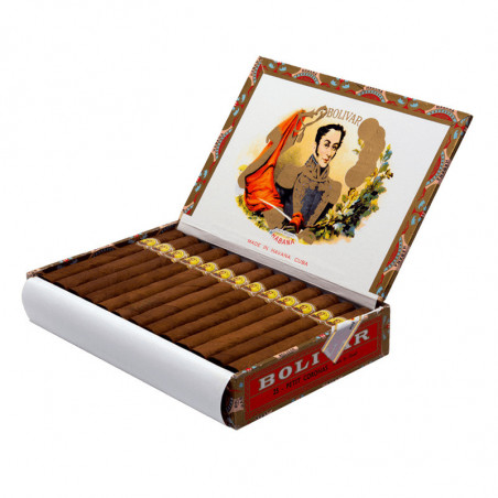 Buy Bolivar Petit Coronas - Premium Cigars Online