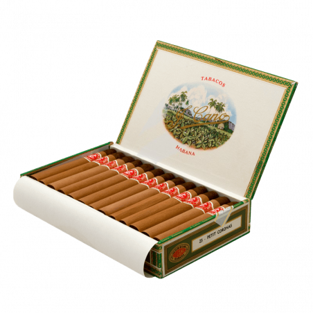 Buy Flor De Cano Petit Coronas - Premium Cigars Online
