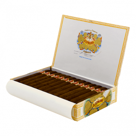 Buy H. Upmann No. 2 - Premium Cigars Online