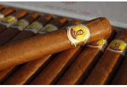Bold and Rich Exploring the Legacy of Bolivar Cigars Bold and Rich Exploring the Legacy of Bolivar Cigars